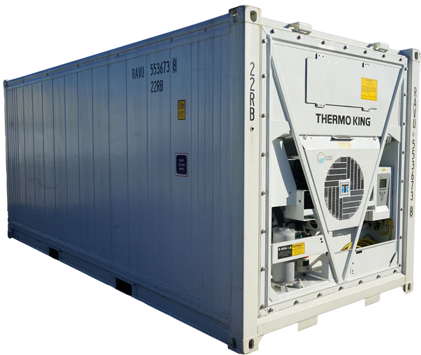 20' Standard Height New Refrigerated Container (Three Phase) - Image 2