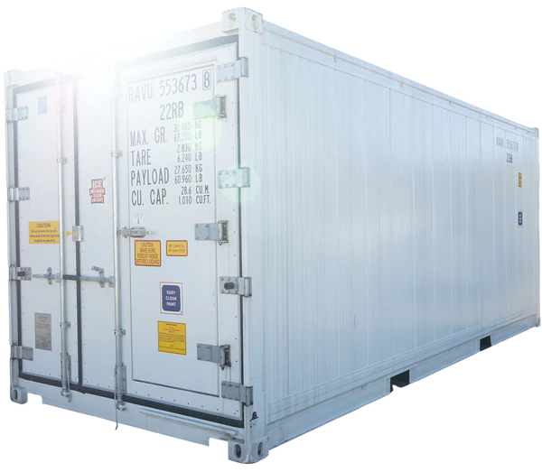 20' Standard Height New Refrigerated Container (Three Phase)